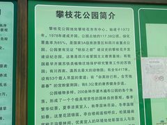 -攀枝花公园