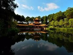 -铁山坪森林公园