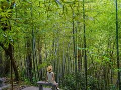 -敬亭山风景名胜区