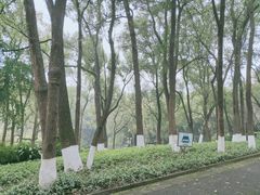-忠山公园