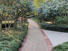-龙头寺公园