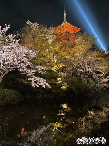 来京都，记得一定来清水寺看看