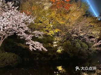 来京都，记得一定来清水寺看看