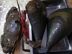 -华威西营里农产品批发市场