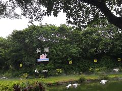 -广州长隆飞鸟乐园