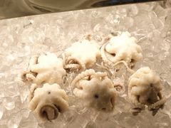 -铭聚章鱼土笋冻(松柏店)