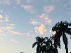 -深圳野生动物园