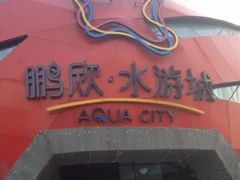 -鹏欣水游城
