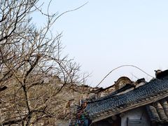 -乌镇景区
