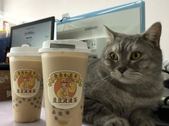 -喜茶(佛山顺德大良东乐路店)