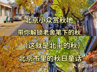 北京4大小众赏秋地解锁秋日童话，人少景美