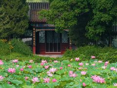 -颐和园