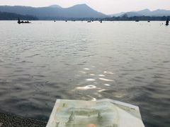 -苏堤停车场