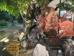 -院里寻菜·精致庭院菜(观沙岭店)