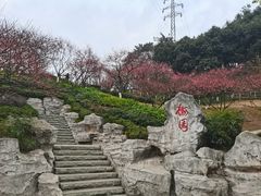 -重庆彩云湖湿地公园