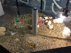-宠物世家(仲盛世界商城店)