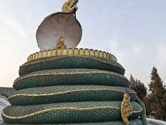 -洛阳白马寺