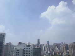 -上海波特曼丽思卡尔顿酒店