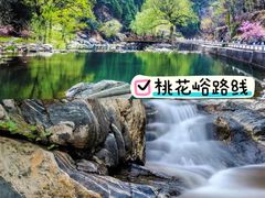 -泰山风景名胜区