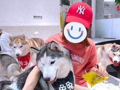 -Husky Go!哈士奇体验馆·宠物咖啡厅狗咖