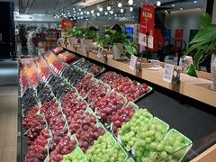 -T11生鲜超市(朝阳公园店)