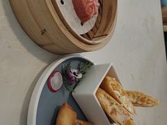 -点都德·毕德寮