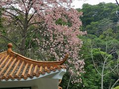 -火炉山森林公园