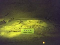 -汉景帝阳陵博物院