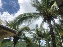 -亚龙湾国际玫瑰谷