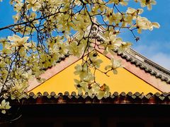 -龙华寺