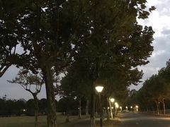 -复旦大学江湾校区食堂