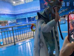 -多彩贵州城极地海洋世界