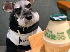 -多乐之日(华贸天地店)