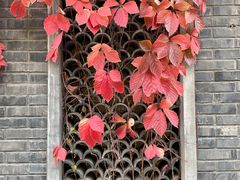 -悦真雅院·四合院·清真私房菜(雍和宫店)