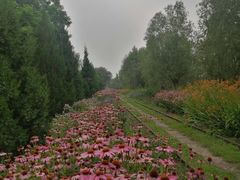 -永定河休闲森林公园