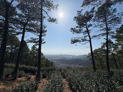 -缥缈峰景区