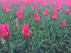 -长春公园(普阳街道)