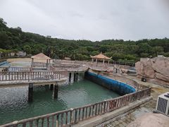 -广东惠东海龟国家级自然保护区
