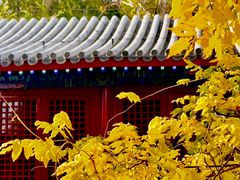 -承恩寺