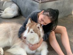 -TrueLove @ Neverland (Husky Cafe)