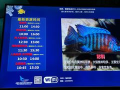 -合肥海洋世界