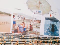 -舟山博物馆