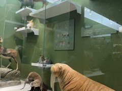 -国家自然博物馆