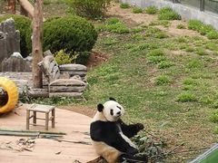 -大连森林动物园