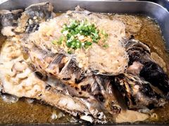 -鱼酷活鱼烤鱼(梅江印象城店)
