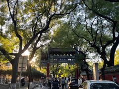 -北京国子监胡同