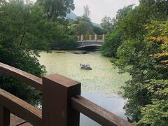-桃花岛景观公园