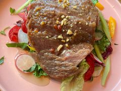 -百好乐宠物友好餐厅(朝外大街店)