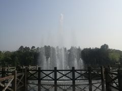 -上海鲜花港