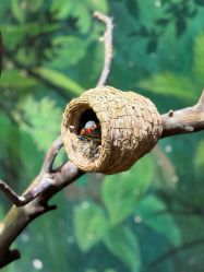 -Zoolung Zoolung动物主题公园(海信广场店)